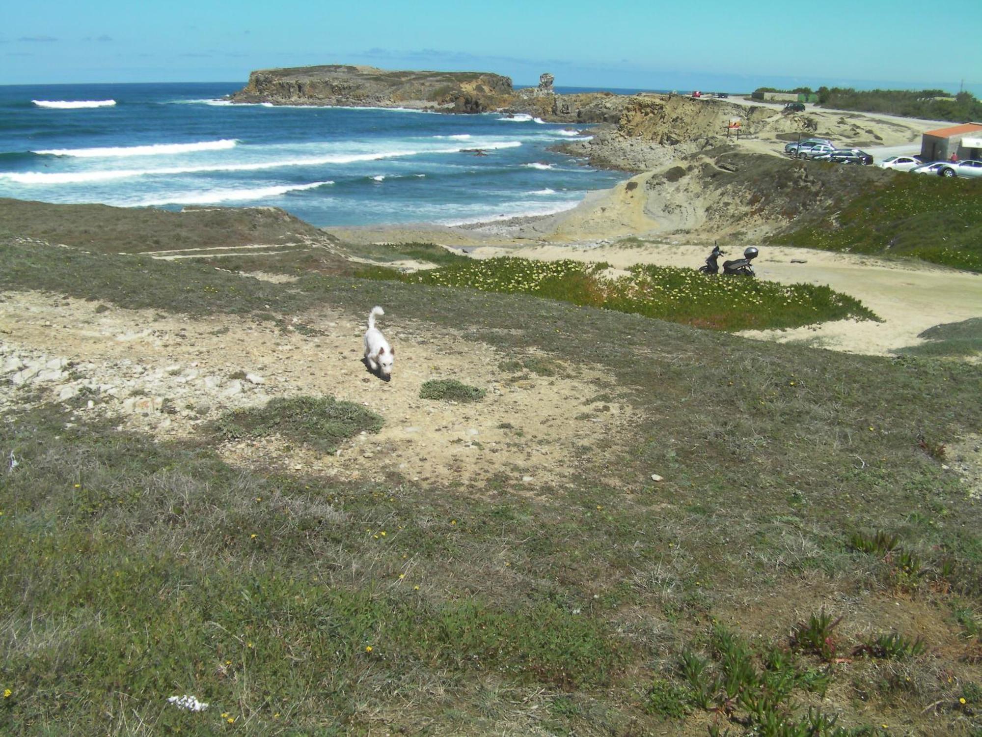 Peniche Surf Lodge 1 Dış mekan fotoğraf